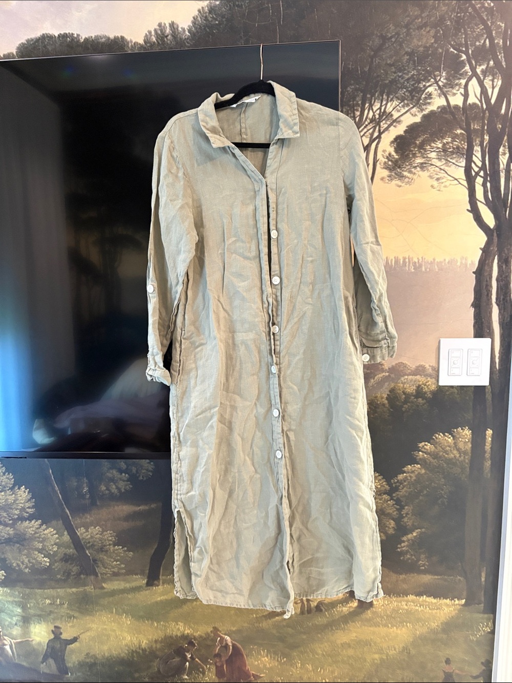 Zara 100% linen shirt dress
